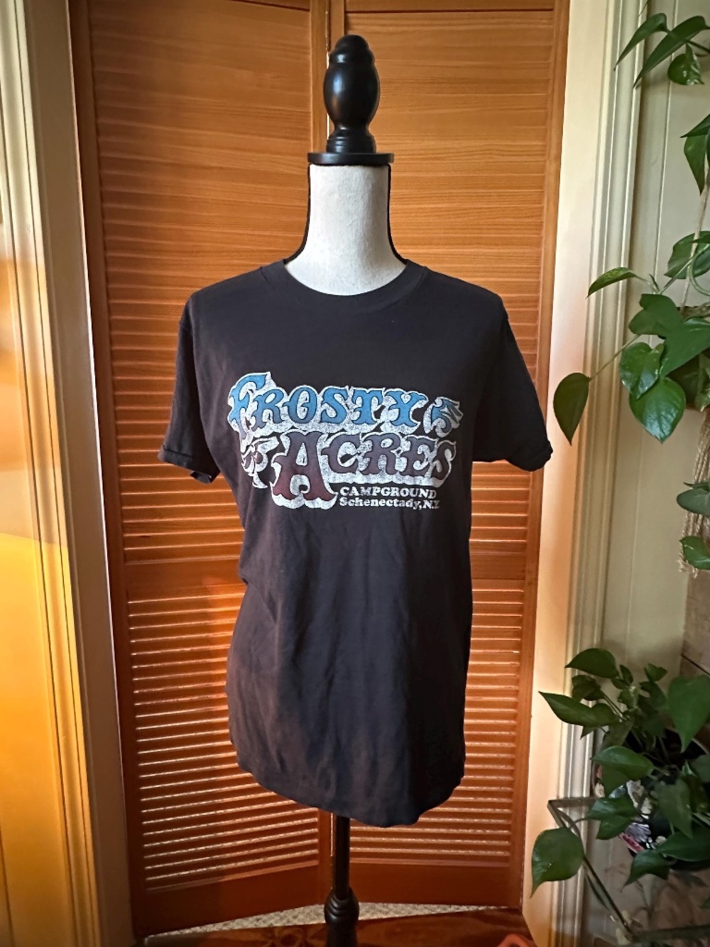 TRUE Vintage 1970s FROSTY Acres Campground T-SHIRT Schenectady NY SCREEN STARS
